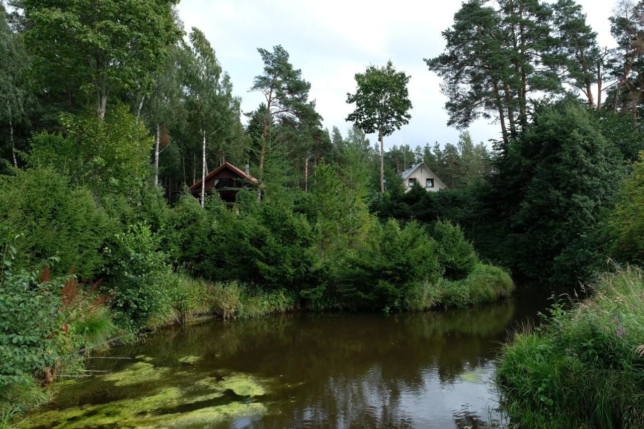 Комплексы для отдыха с коттеджами/бунгало Kallaste Talu- Turismitalu & Holiday Resort Падизе